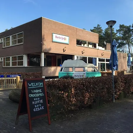 Harba Lorifa Valkenswaard