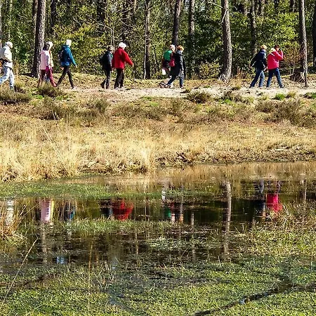 Harba Lorifa Хостел Валкенсвард