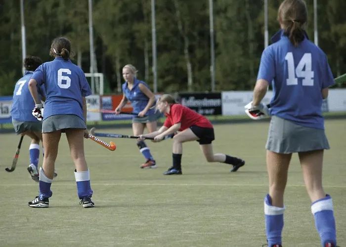 Harba Lorifa Valkenswaard