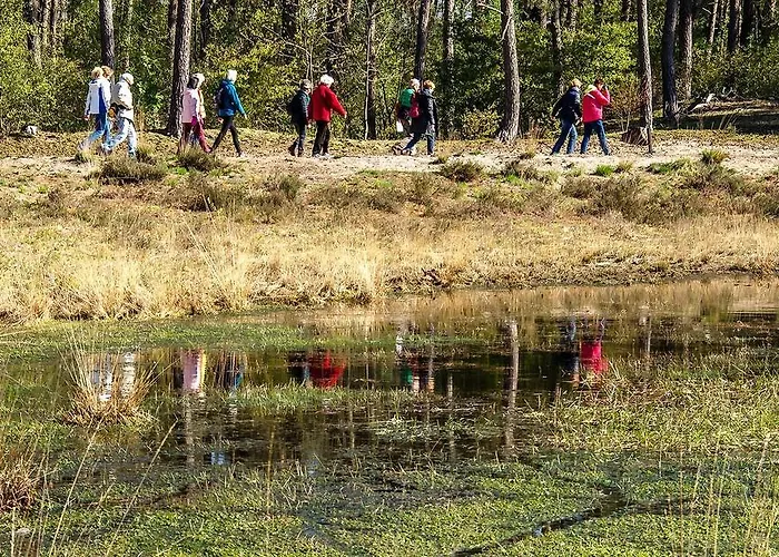Harba Lorifa Hostel Valkenswaard
