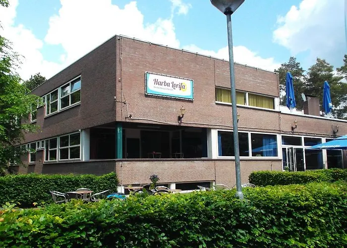 Harba Lorifa بيت شباب *