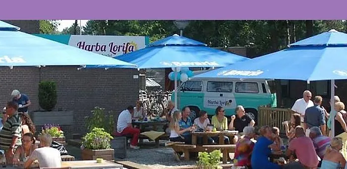 بيت شباب Harba Lorifa