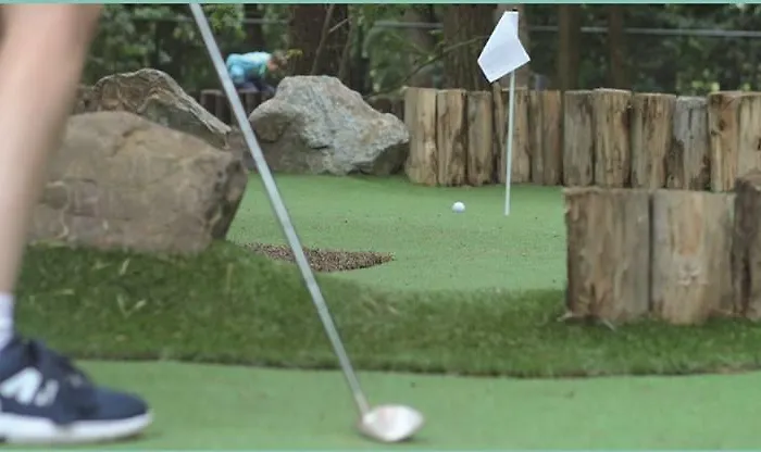 Harba Lorifa بيت شباب